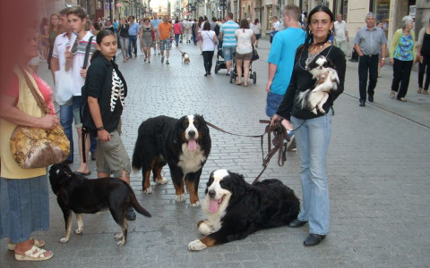 Kraków